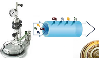 Continuous-Flow Synthesis